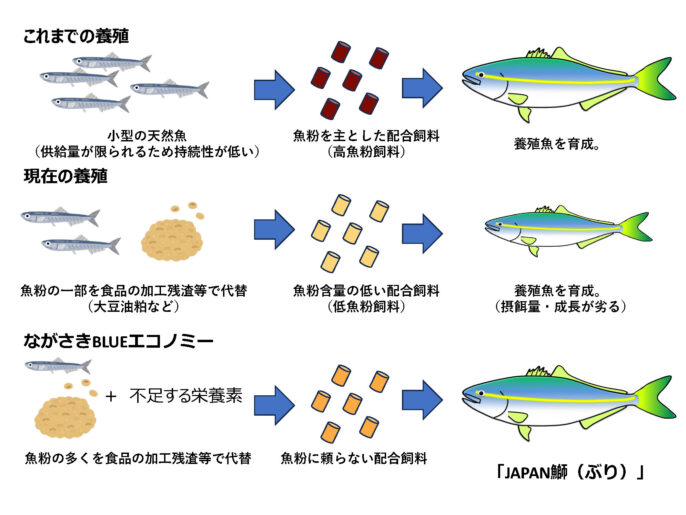 改訂 魚類の栄養と飼料 第７回 魚粉に頼らない餌の開発 - 長崎大学 広報紙 Choho
