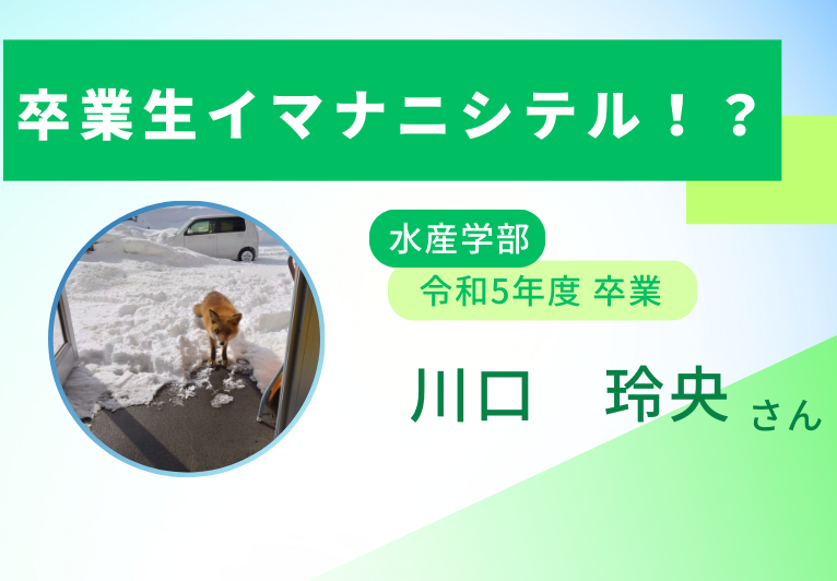 卒業生イマナニシテル！？｜長崎大学 広報紙 Choho